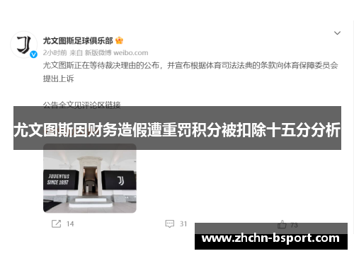 尤文图斯因财务造假遭重罚积分被扣除十五分分析 尤文图斯因财务造假遭重罚积分被扣除十五分分析